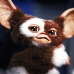 How Girls and Gremlins Inspired This Fan Favorite Song